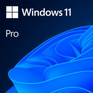 Licenta OEM Microsoft Windows 11 Pro, 64 bit, English, DVD