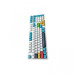 Tastatura Mecanica ANEEX K98, Iluminata, USB-C