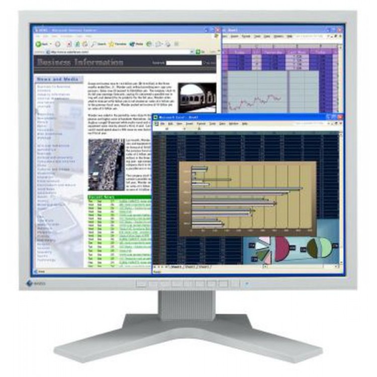 Monitor Eizo FlexScan L768 LCD, 19 Inch, 1280 x 1024, VGA, DVI